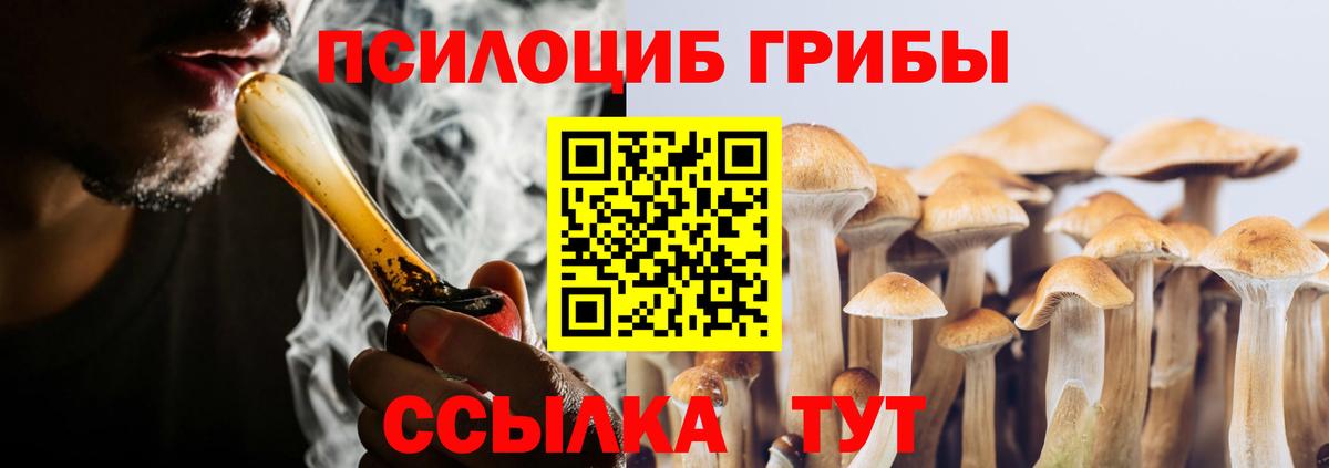 Псилоцибиновые грибы Psilocybine cubensis Бугуруслан